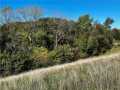 Property photo 50