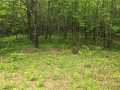 Property photo 44