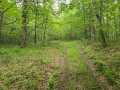 Property photo 47