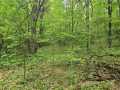 Property photo 48