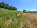 Property photo 46