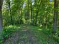 Property photo 50