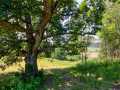 Property photo 52
