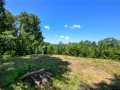 Property photo 54