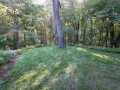 Property photo 57