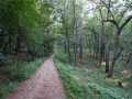 Property photo 59