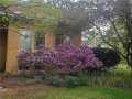 Property photo 52