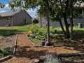 Property photo 54