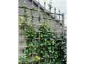 Property photo 55