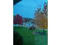 Property photo 57