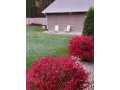 Property photo 59