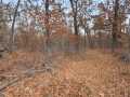 Property photo 50