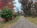 Property photo 54
