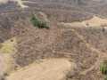 Property photo 59