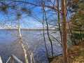 Property photo 57
