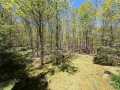 Property photo 56