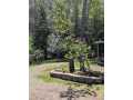 Property photo 58