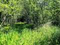 Property photo 50