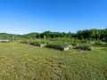 Property photo 51