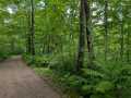 Property photo 43