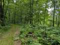 Property photo 50