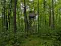 Property photo 52