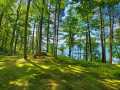 Property photo 50