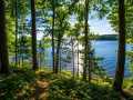 Property photo 52