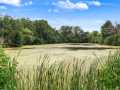 Property photo 50