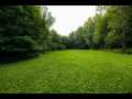 Property photo 50