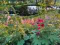 Property photo 50