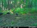 Property photo 48
