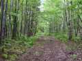 Property photo 44