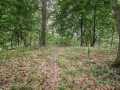 Property photo 50