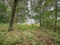 Property photo 51