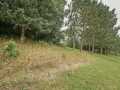 Property photo 53