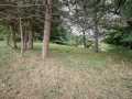 Property photo 54