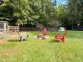 Property photo 29