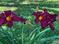 Property photo 50