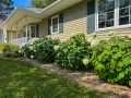 Property photo 51