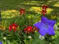 Property photo 52