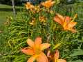 Property photo 53