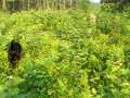 Property photo 49
