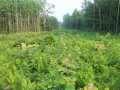 Property photo 50