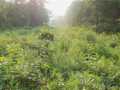 Property photo 51