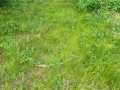 Property photo 54