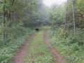 Property photo 55