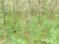 Property photo 56