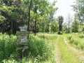 Property photo 54