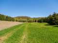 Property photo 42